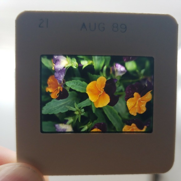 2 Genuine Vintage‎ Kodak Carousel Transvue 80 Slide Trays In Box w/ Slide sheets - Picture 11 of 12